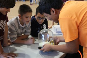 Children view a science experiment at the Fiesta of Physics