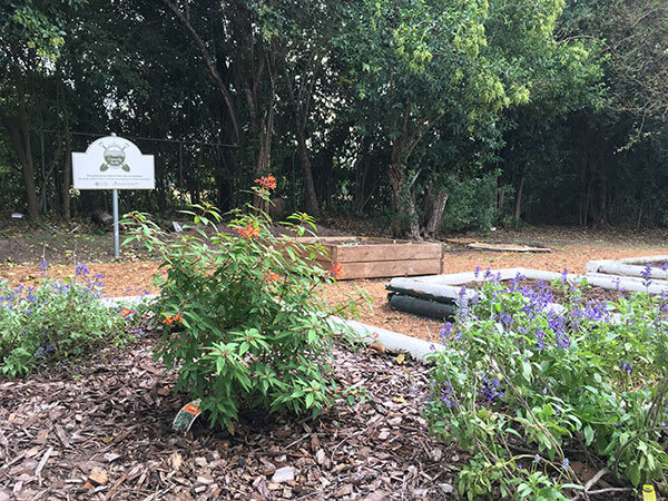 Community Garden at St. Mary's Univeristy