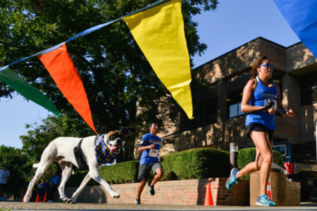 Joggers and dogs join in the StMU 5K.