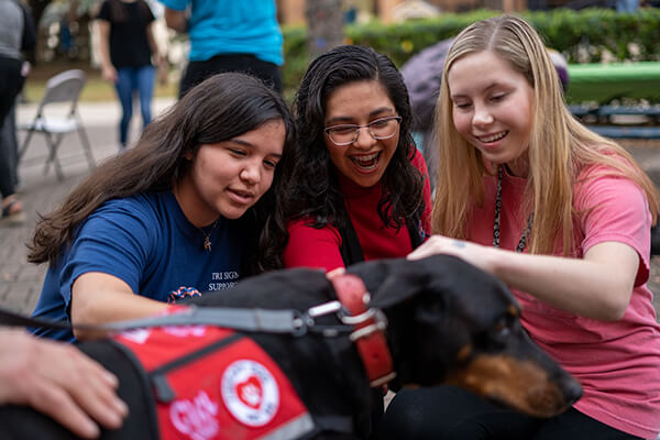 Students are excited to pet a therapy dog