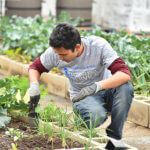 A student at St. Mary's tends to crops.