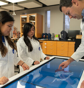 Professor Ted Macrini and students using the Anatomage Table