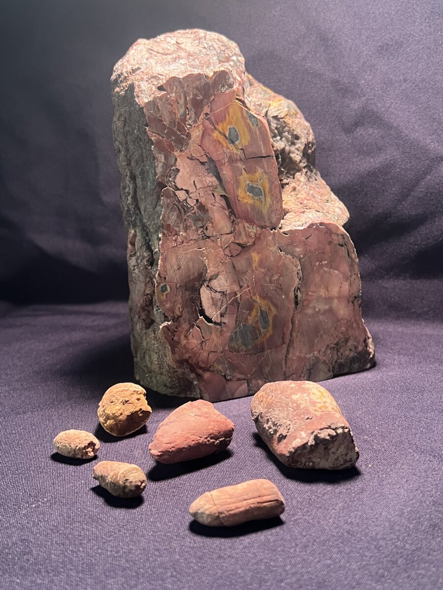 Coprolites 