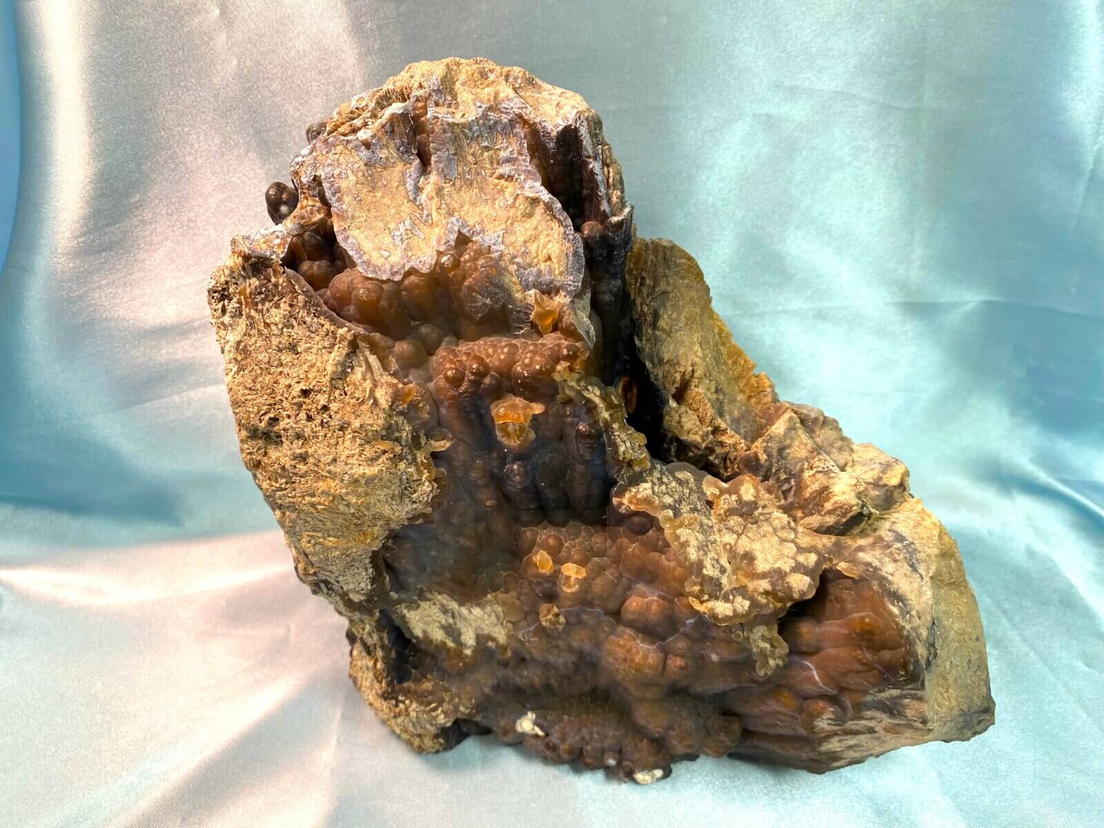 Agatized coral