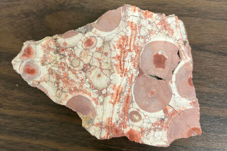 A rock with rounded or spherical clusters consisting of radiating or concentrically arranged mineral crystals of a coral color, creating a bumpy or granular texture.