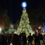 Christmas tree holding gold and blue balls with a bright star on top.