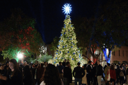 Christmas tree holding gold and blue balls with a bright star on top.