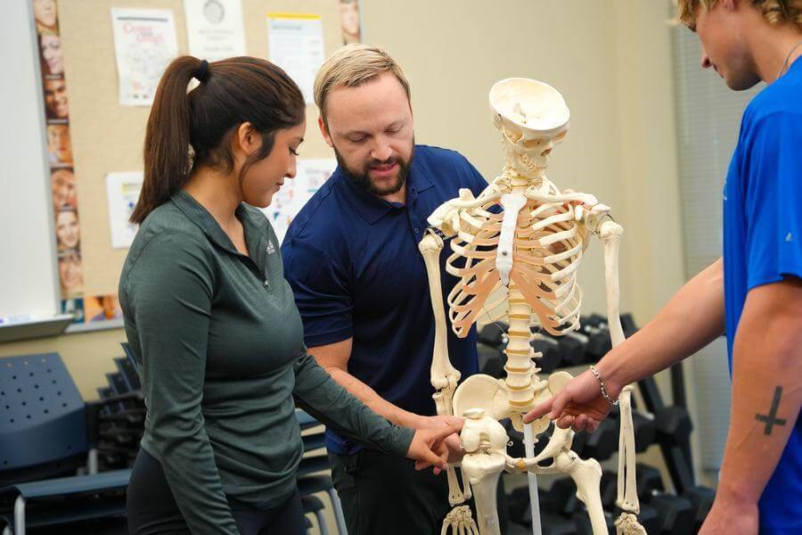 Two students and a professor use a model skeleton in the new Human Performance Lab at St. Mary's.