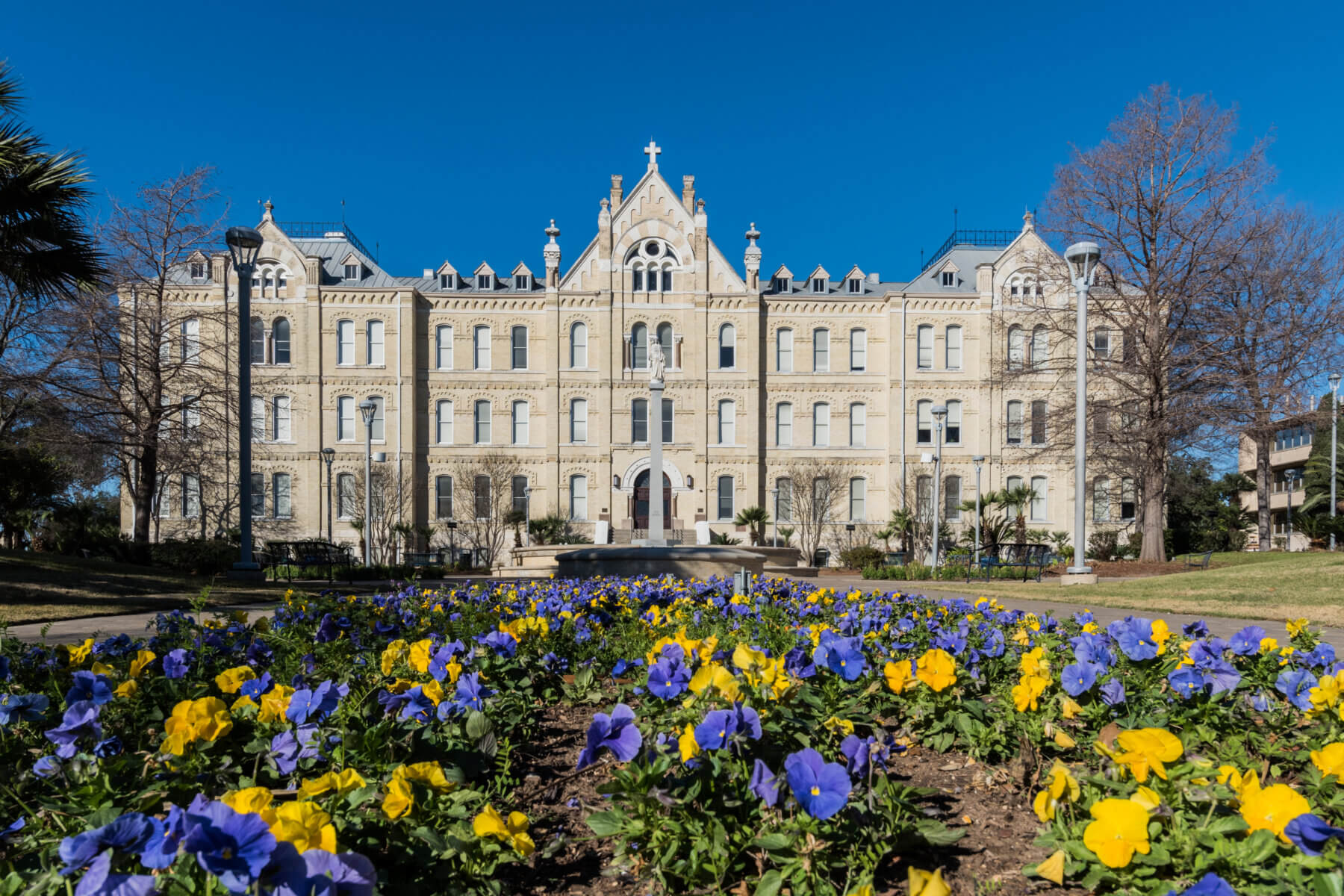 Blue and Gold flowers in front of St. Louis Hall
