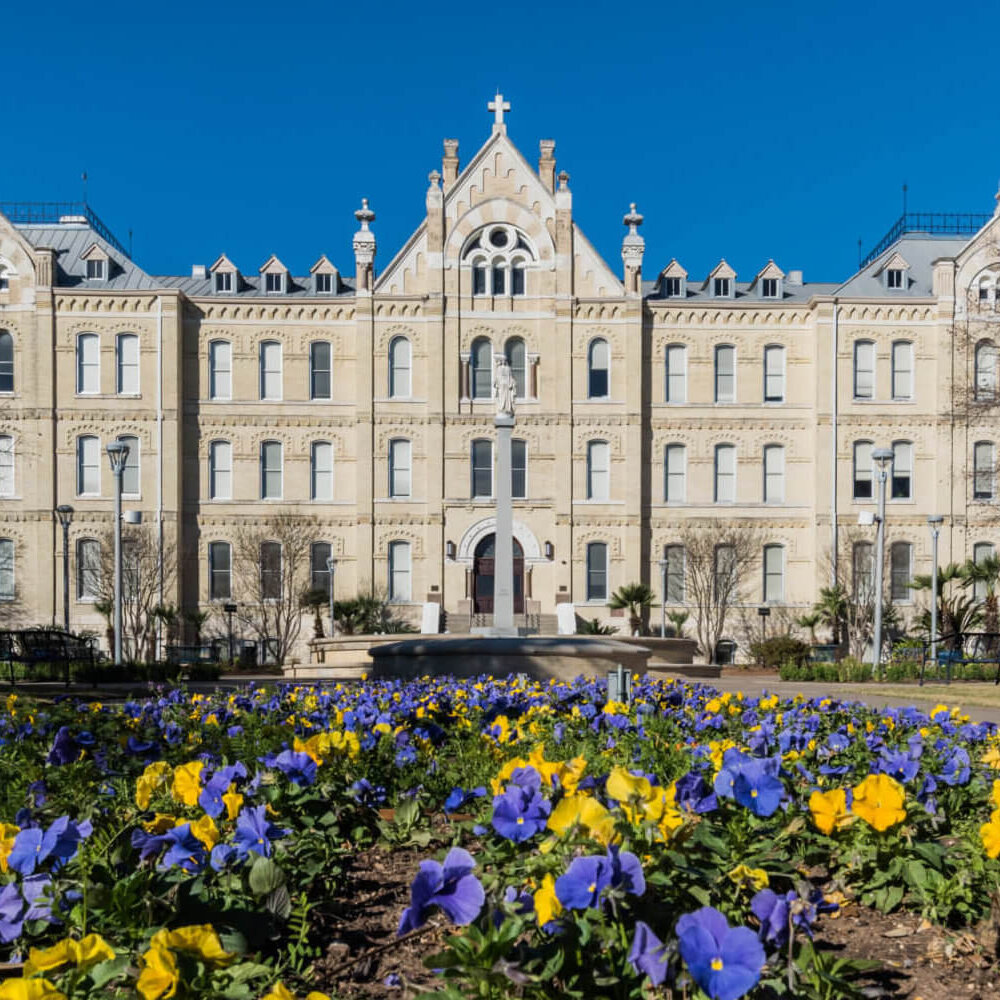 Blue and Gold flowers in front of St. Louis Hall