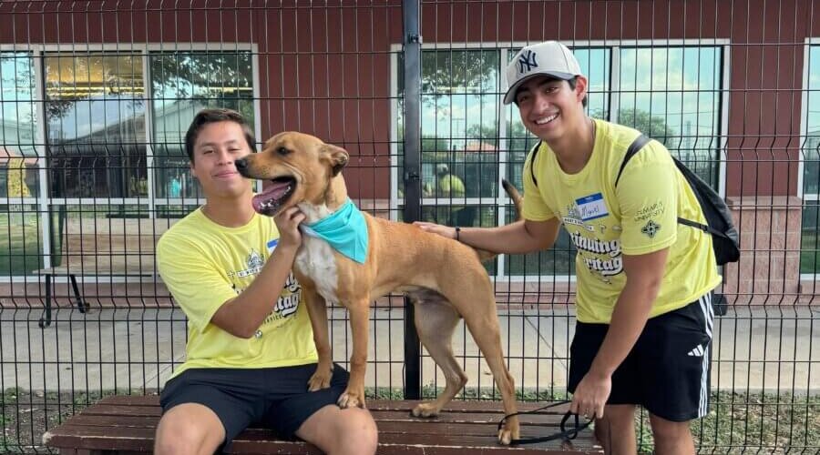 Two students play with a dog.