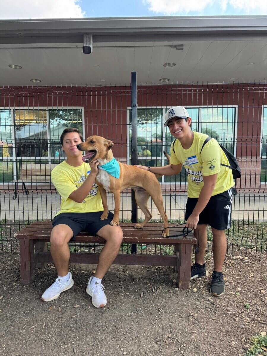 Two students play with a dog.