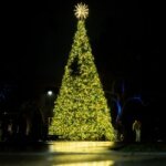 A tree is beautifully lit at Christmas Tree Lighting 2024.
