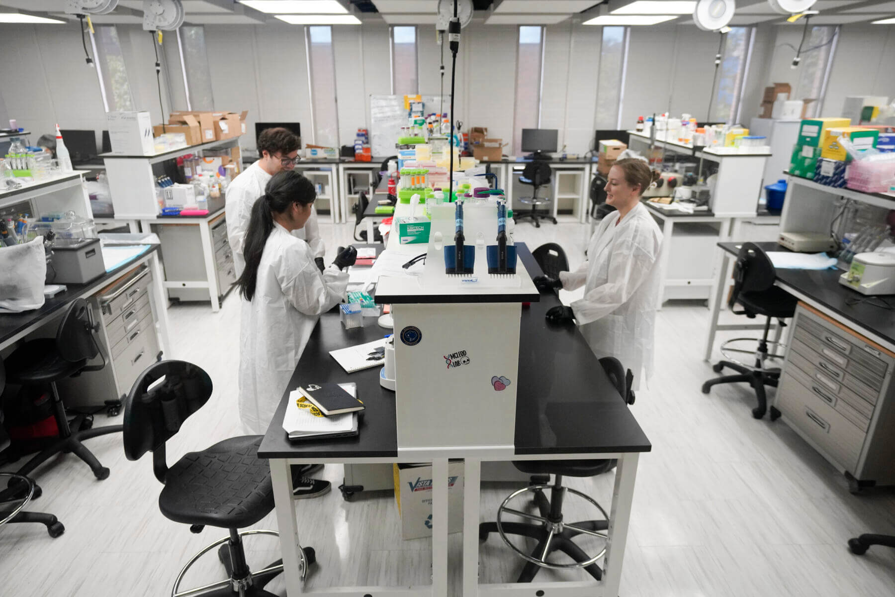Students working together on a project in the lab.