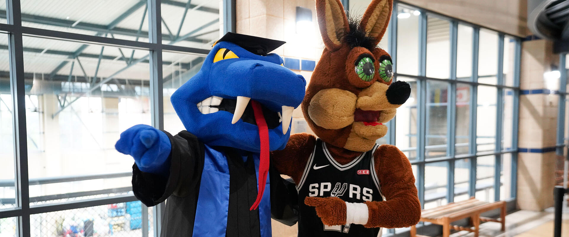 Rattler Man and the Spurs Coyote have an epic team-up during the Law Commencement in May 2025